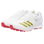 Adidas 22YDS Boost Cricket Spikes