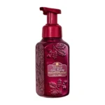 Afternoon Apple Picking Gentle & Clean Foaming Hand Soap 259ml