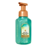 Blue Orchard Skies Gentle & Clean Foaming Hand Soap 259ml