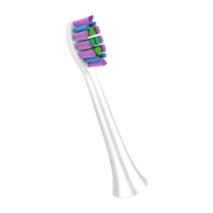 Bosidin Sonic Electric Rechargeable Toothbrush (White)