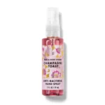 Champagne Toast Anti-Bacterial Hand Sanitizer Spray 29ml