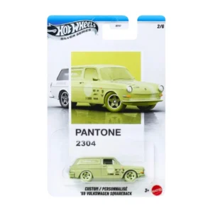 CustomPersonnalise 69 Volkswagen Squareback
