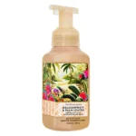 Dragonfruit & Palm Leaves Gentle & Clean Foaming Hand Soap 259ml