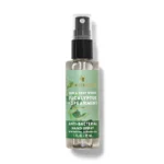 Eucalyptus Spearmint Anti-Bacterial Hand Sanitizer Spray 29ml