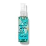 Fresh Rainfall Anti-Bacterial Hand Sanitizer Spray 29ml