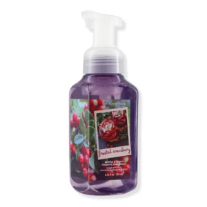 Frosted Cranberry Gentle & Clean Foaming Hand Soap 259ml
