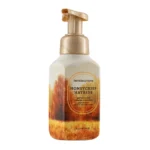 Honeycrisp Hayride Gentle & Clean Foaming Hand Soap 259ml
