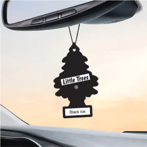 Little Trees Black Ice Hanging Air Freshener