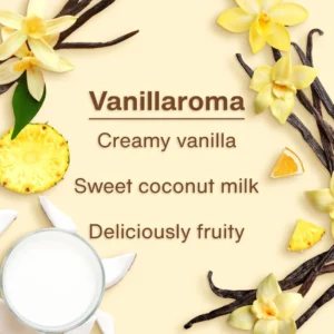 Little Trees Vanillaroma Hanging Air Freshener