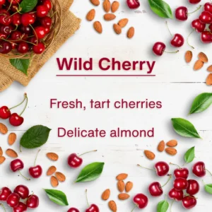 Little Trees Wild Cherry Hanging Air Freshener
