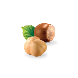 Loacker Patisserie Creme Noisette 100g