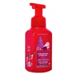 Pomegranate Citrus Fizz Gentle Foaming Hand Soap 259ml