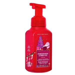 Pomegranate Citrus Fizz Gentle Foaming Hand Soap 259ml