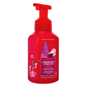 Pomegranate Citrus Fizz Gentle Foaming Hand Soap 259ml