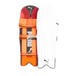 Puma Evo 5 Ambi Batting Pads