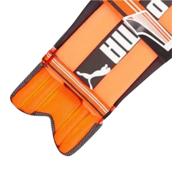 Puma Evo 5 Ambi Batting Pads