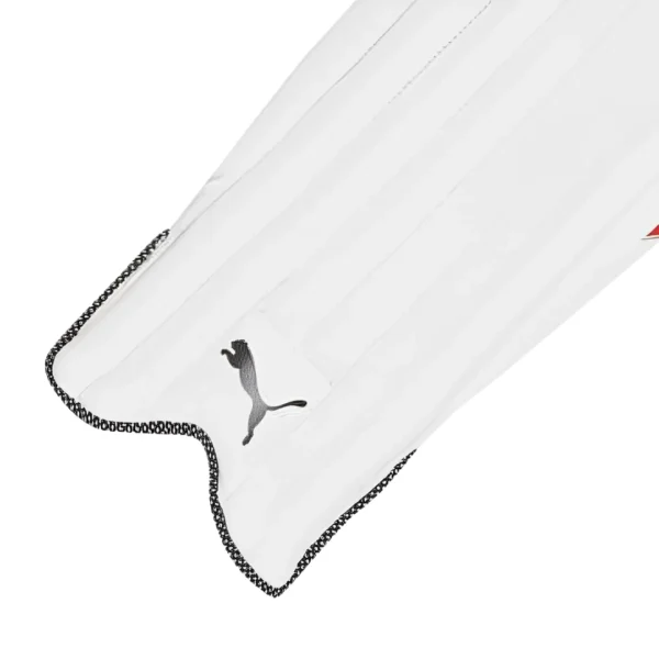 Puma Evo 5 Ambi Batting Pads