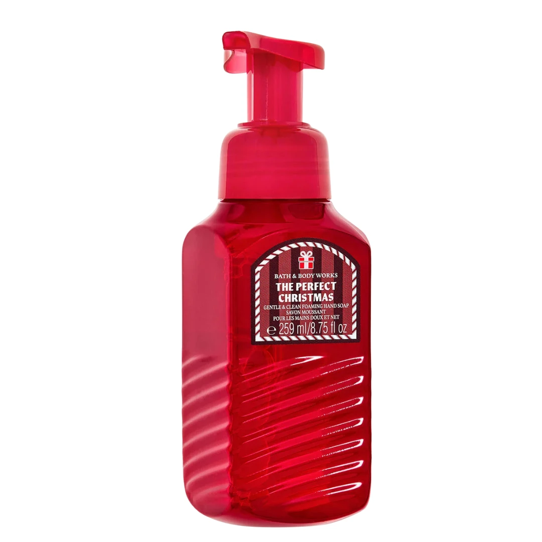 The Perfect Christmas Gentle & Clean Foaming Hand Soap 236ml