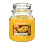 Yankee Candle Classic Medium Jar Mengo Peach Salsa 411g