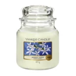 Yankee Candle Classic Medium Jar Midnight Jasmine 411g