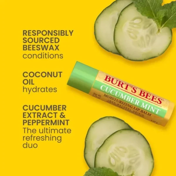 Burt's Bees Lip Balm Multipack