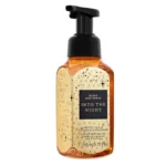 Into The Night Gentle & Clean Foaming Hand Soap 259ml