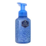 Lavender Vetiver Gentle & Clean Foaming Hand Soap 259ml