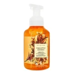 Pineapple Mango Gentle Foaming Hand Soap 259ml