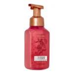 Raspberry Tangerine Gentle & Clean Foaming Hand Soap 259ml