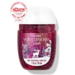 Winterberry Ice Pocketbac Hand Sanitizer 29ml